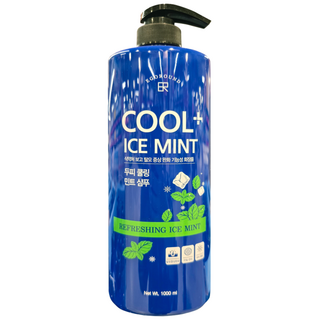 에고라운드 두피 쿨링 민트 샴푸 1L, 1개
