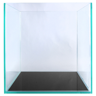 고운물 올디아망 20 큐브