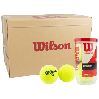 윌슨 테니스공 챔피언쉽 1캔(2개입), 10개