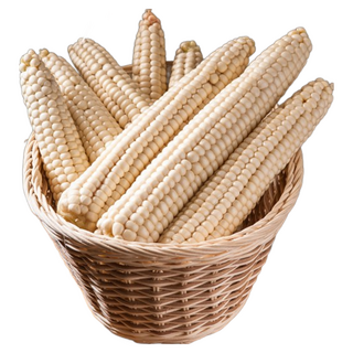 신선하게 보관된 괴산대학 냉동 찰옥수수 껍질벗긴 생거, 15개, 2kg(17센티이상_생냉동)