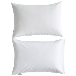 구스베개 1+1 도아드림 5성급 호텔 구스베개, 2개, 화이트