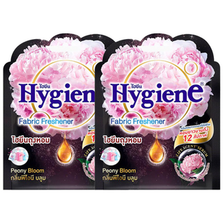 하이젠 옷장용 차량용 퍼퓸 방향제 피오니 블룸, 8g, 2개