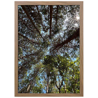 뉴클루 우드 인테리어 액자 A4 A3 A2 A1 5070 사이즈 포스터 정사각형 프레임, 우드 오크