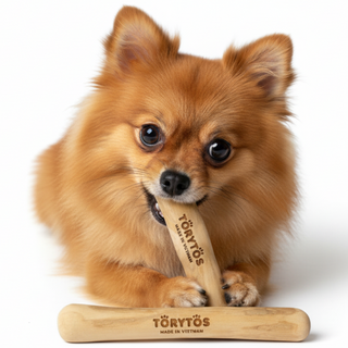 토리토스 커피우드스틱 XXS 소형견용 퍼피용 얇은 1cm 두께 이갈이 장난감 커피츄, 2개, 우드