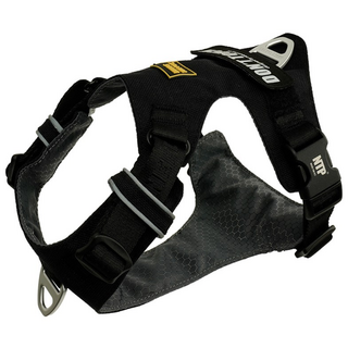 니즈더펫 강아지 인터라켄 초경량 라이트 하네스, 블랙, 1개