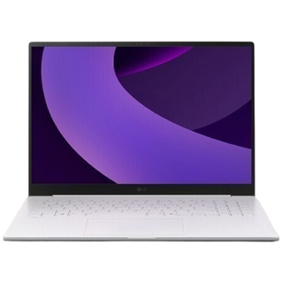 LG 그램 15 IPS FHD 화이트 에디션 코어i5-1135G7/램16G/SSD512G/인텔UHD/15.6 IPS FHD/윈도우11 탑재, 15Z95N, WIN11 Home, 16GB, 512GB