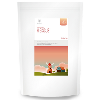 닥터루트 히비스커스차 삼각티백, 1.2g, 100개입, 1개