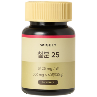 와이즐리 철분 25 (2개월분), 60정, 1세트