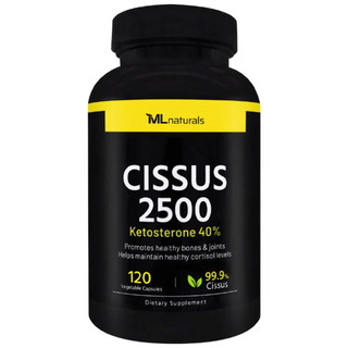 뉴트리디데이 시서스