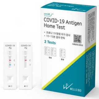 웰스바이오 코로나 자가진단키트 2회분 자가키트 신속항원 검사키트 2개입, 1개