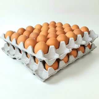 HACCP인증 무염 구운란 30구, 1세트, 60구