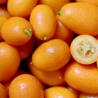 [제철한정] 새콤달콤한 프리미엄 제철 금귤(낑깡), 1개, 2kg