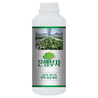 은행부자 응애 진딧물 노린재 탄저병 깍지 총채 벌레 모두싹 퇴치 약, 10L, 10L