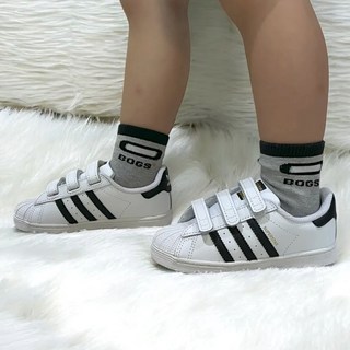 아디다스 키즈 발편한 스니커즈 슈퍼스타 CF 벨크로 찍찍이 신발 고리수건 증정