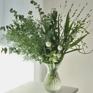 그린 한다발 생화 그리너리 꽃꽂이 소재 오래가는꽃 양재꽃시장 복홈, 1개, 그린한다발