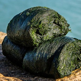 완도맘 완도 매생이, 5개