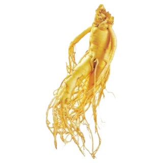 인삼 미삼 세척인삼 1채 750g 인삼 뿌리 파지 미삼잔뿌리 뿌리삼 파삼, 1개