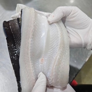 [산지직송] 통영 자연산 손질 바다장어 특대 + 소스 2종 3kg(6-9미), 1개, 바다 장어 3kg (6-9미)