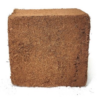 [조이가든센터] 코코피트 블럭 _ 50L 압축코코피트 블럭코코피트 달팽이흙 화분분갈이, 1개