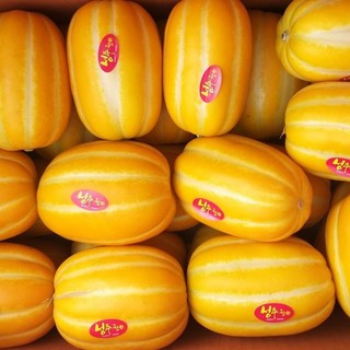 2026년 성주 참외, 1박스, 10kg 대과