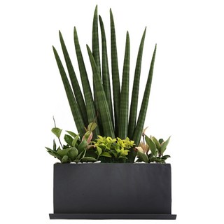 99플라워 맑은공기 스투키 높이 약80cm내외 [ST-J113], 1개