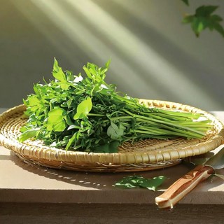 재구매 1위 산지직송 자연산 돌미나리 특품, 1박스, 1kg