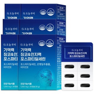 오늘부터 기억력 징코 인지력 포스파티딜세린, 30정, 6개