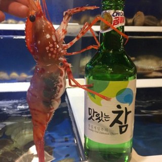 활 독도새우 도화새우, 1개, 활 도화새우(대) 500g