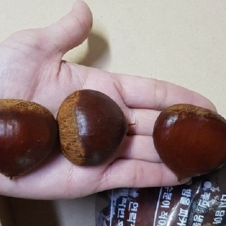 공주밤 알밤 햇밤 군밤 생율밤 (특) / (대) 2.1kg ~ 8.4kg, 1개, 2.1kg(대)