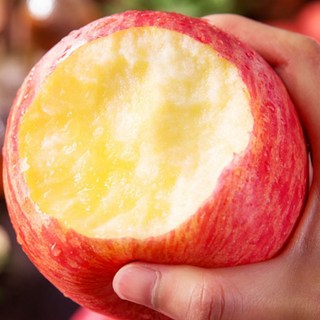 3일간 초특가 국내산 고당도 부사 사과, 1박스, 5kg 고당도