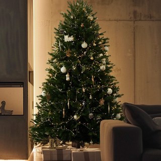 [크라운트리] 크리스마스 프리미엄 리얼 전나무 대형 트리 (고급 트리가방 증정)