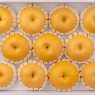 고급 나주 배 추석 과일 선물세트 5kg 7.5kg 제수용 명절 선물용, 1개, 5kg(옵션1 중과)
