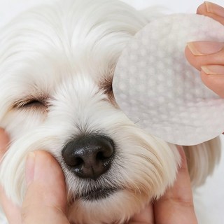 강아지 고양이 겸용 눈물티슈 눈물자국 케어 아이클리닝 패드 100매 저자극, 1개, 0.1L