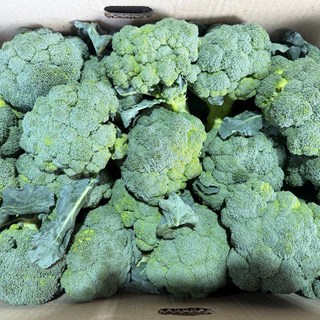 갓 수확한 국내산 햇 브로콜리, 1박스, 1kg