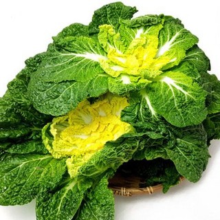 [팜팜]국내산 진도 완도 봄동, 1박스, 10kg