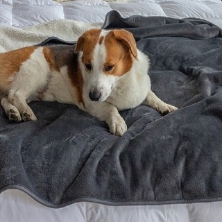 코지 강아지 고양이 방수 담요 겸 이불 대형견 겸용 사계절 플란넬 담요, 1개, 그레이