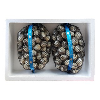 밥도둑 여자만 벌교 새꼬막, 1개, 대5kg