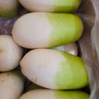 [채훈이네]국산 제주무 월동무 세척무 손질무 동치미 김장용 5kg, 1개