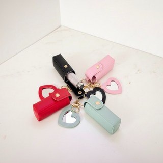 립케이스 도장케이스