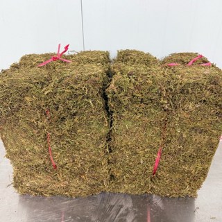 자연산 건조 생이끼 4.8kg 인삼 새씩삼 산삼 더덕 포장 화분장식 테라리움 분재 분경 석 목부작 원예용 정원조경 인테리어, 1개