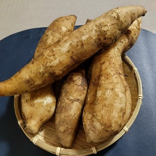 [평창]직접 재배한 고품질 토종야콘 [겨울/봄 프리미엄], 1박스, 상 5kg