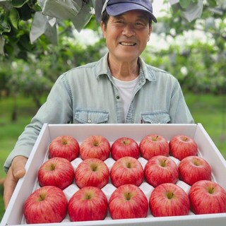 [상위1% 생산자직송] 최상급 경북 청송 정품 사과 부사, 1박스, 5kg 중과 (17-22과)