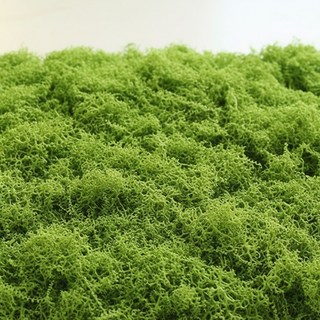 인조 조화이끼 인테리어 조경 나무, 1개, 밝은그린 100g