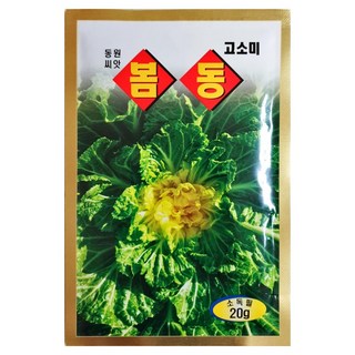 농사친구 봄동 씨앗 20g 동원 씨 종자 김장 배추 깻잎 양파 잔디 항암 고수, 1개