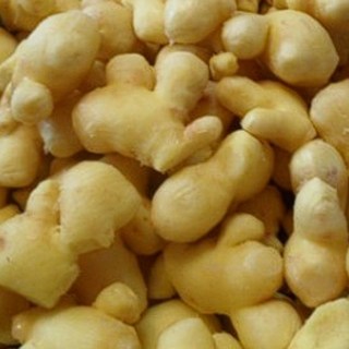 (한마음 미트) ( 냉동 세척 깐 생강 업소용10kg (베트남), 1박스, 10KG