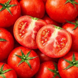 정직하게 길러낸 정품 완숙 토마토, 1박스, 5kg