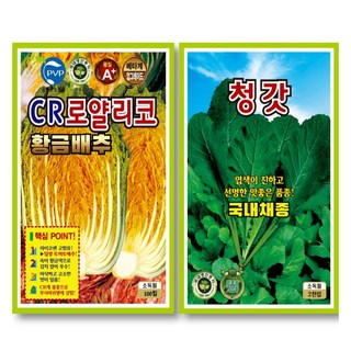 김장채소 2종 황금배추씨앗+청갓 국내산 배추씨앗 갓씨앗, 1개