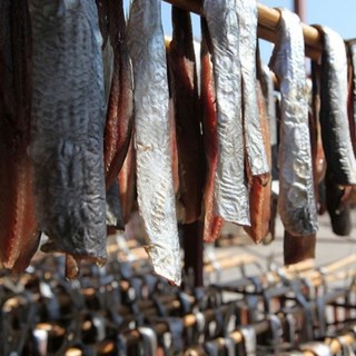 포항 구룡포 영덕 반손질과메기(껍질있음) 청어(1k500g)/꽁치(850g) 과메기, 1개, 청어반손질20미