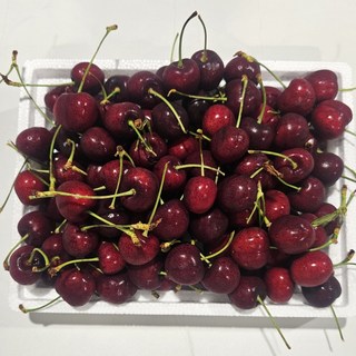 과일성지 프리미엄 고당도 큰 사이즈 생 체리 상콤한 체리 500g 1kg 2.5kg 5kg, 1박스, 상콤생체리 5kg