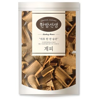 한방선생 사각 계피 특품, 600g, 1개입, 1개
